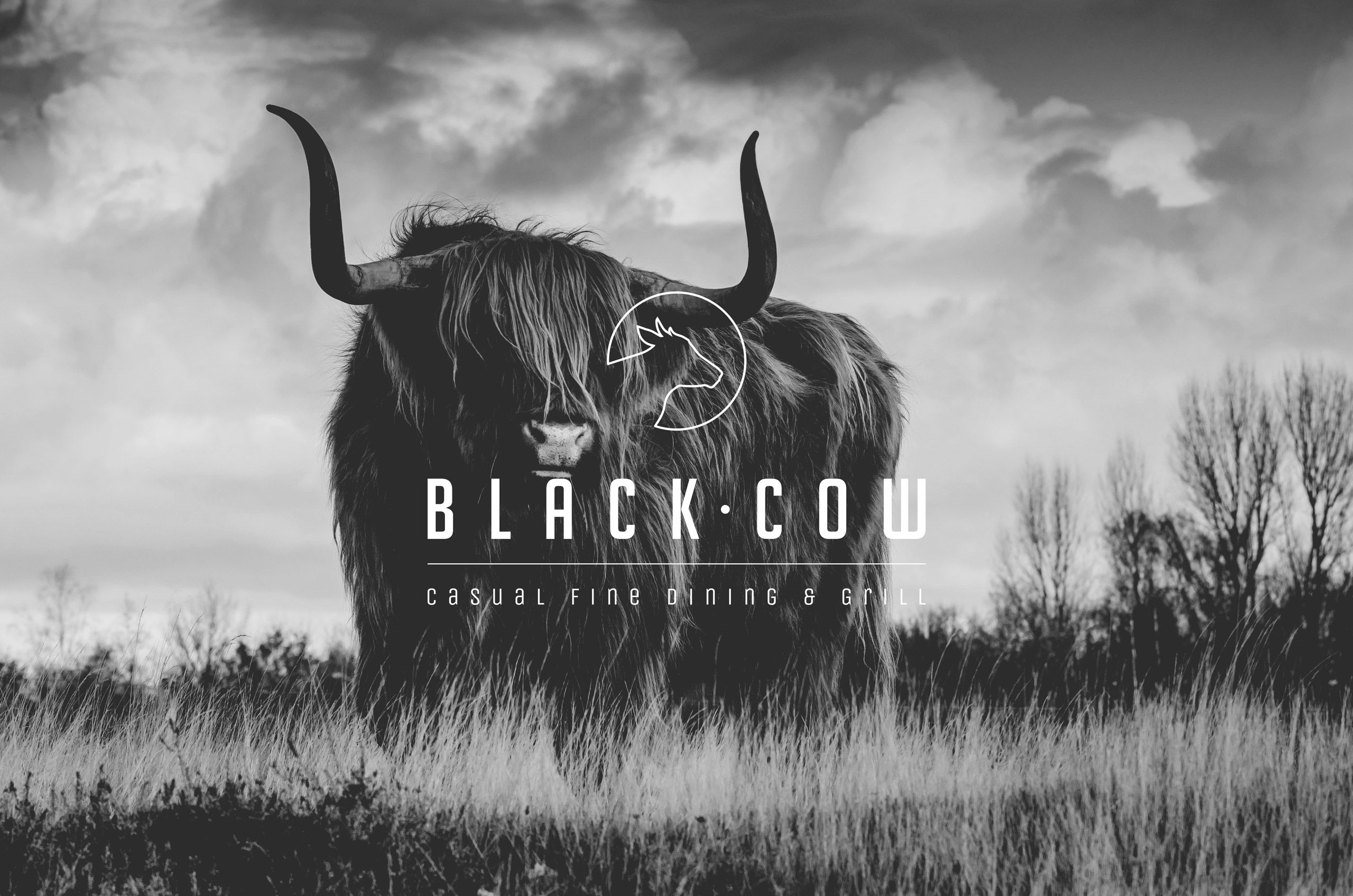 Black Cow
